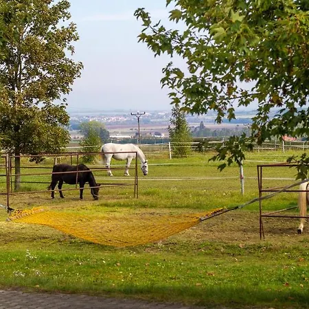 Feriegård Farma Slunecny Dvur A Family Stany Strecha Pod Strechou Hermanuv Mestec